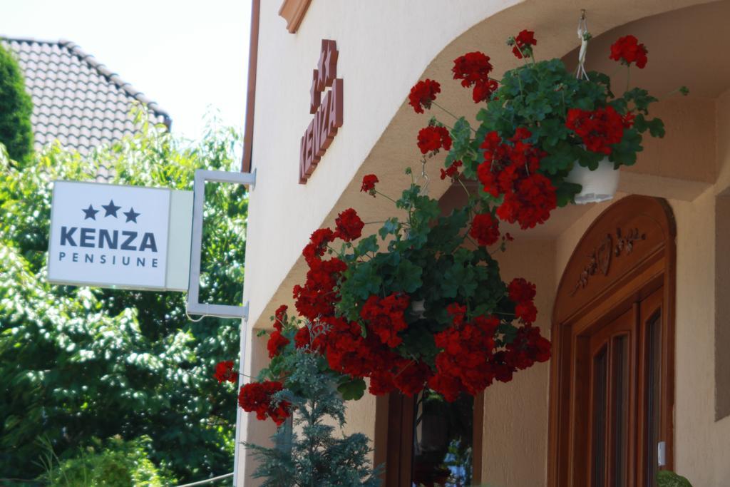 Pensiunea Kenza Târgu-Mureş Buitenkant foto